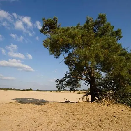 Essenereng Dom wakacyjny